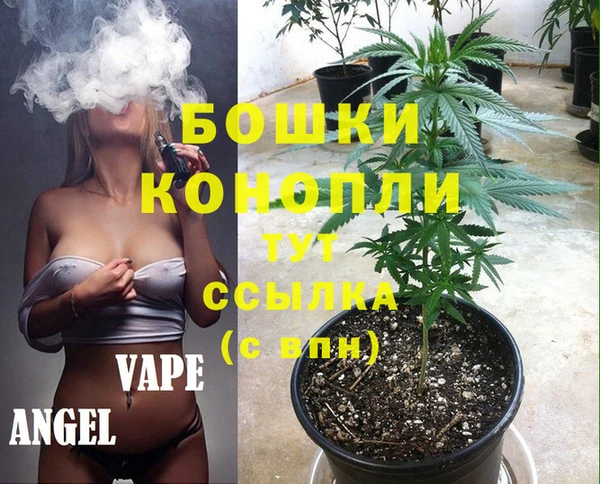 PSILOCYBIN Алексин