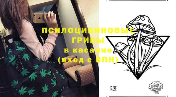 PSILOCYBIN Алексин